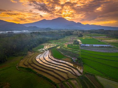 Beautiful morning view indonesia panorama landscape paddy fields with beauty color and sky natural light