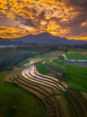 Beautiful morning view indonesia panorama landscape paddy fields with beauty color and sky natural light