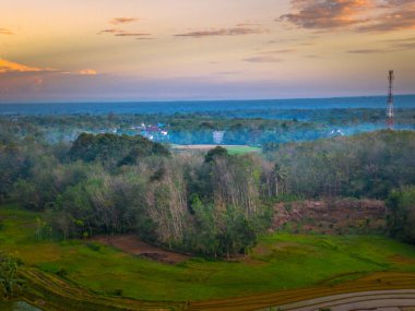 Beautiful morning view indonesia panorama landscape paddy fields with beauty color and sky natural light