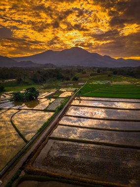 Beautiful morning view indonesia panorama landscape paddy fields with beauty color and sky natural light