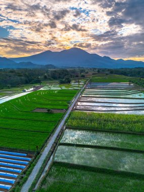 Beautiful morning view indonesia panorama landscape paddy fields with beauty color and sky natural light