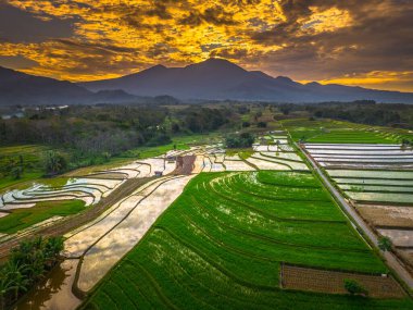 Beautiful morning view indonesia panorama landscape paddy fields with beauty color and sky natural light