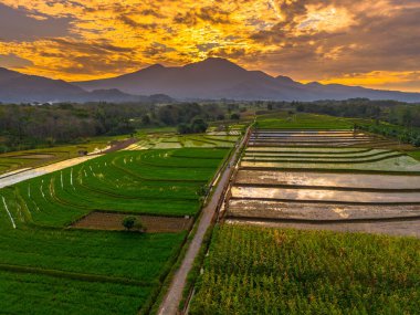 Beautiful morning view indonesia panorama landscape paddy fields with beauty color and sky natural light
