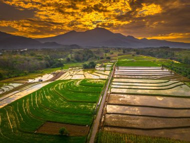 Beautiful morning view indonesia panorama landscape paddy fields with beauty color and sky natural light