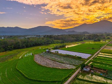 Beautiful morning view indonesia panorama landscape paddy fields with beauty color and sky natural light