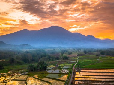 Beautiful morning view indonesia panorama landscape paddy fields with beauty color and sky natural light
