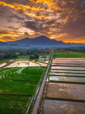 Beautiful morning view indonesia panorama landscape paddy fields with beauty color and sky natural light