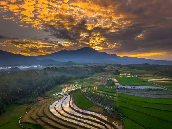 Beautiful morning view indonesia panorama landscape paddy fields with beauty color and sky natural light