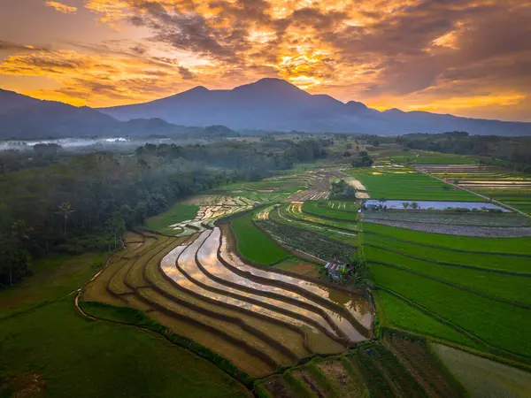 Beautiful morning view indonesia panorama landscape paddy fields with beauty color and sky natural light