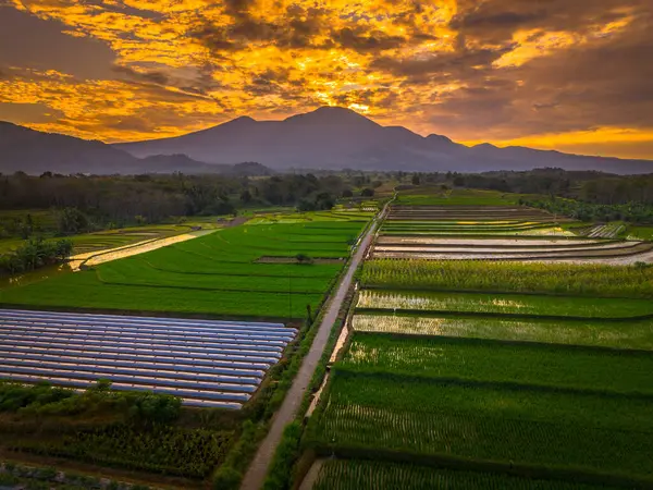 Beautiful morning view indonesia panorama landscape paddy fields with beauty color and sky natural light