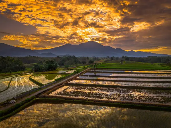 Beautiful morning view indonesia panorama landscape paddy fields with beauty color and sky natural light
