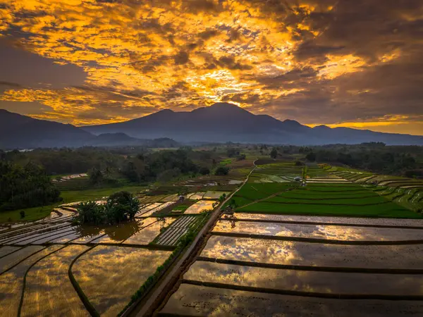 Beautiful morning view indonesia panorama landscape paddy fields with beauty color and sky natural light