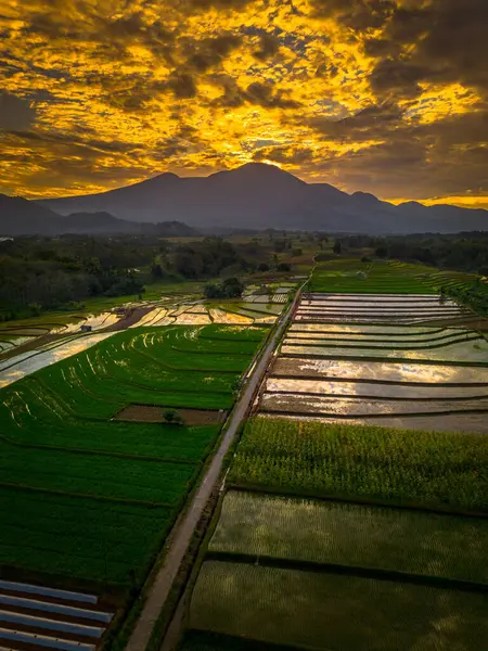 Beautiful morning view indonesia panorama landscape paddy fields with beauty color and sky natural light