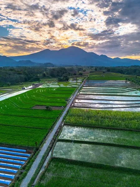 Beautiful morning view indonesia panorama landscape paddy fields with beauty color and sky natural light