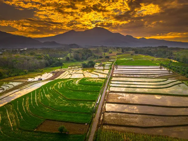 Beautiful morning view indonesia panorama landscape paddy fields with beauty color and sky natural light