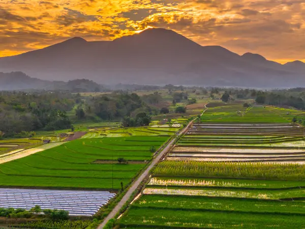 Beautiful morning view indonesia panorama landscape paddy fields with beauty color and sky natural light