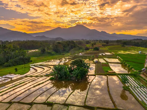Beautiful morning view indonesia panorama landscape paddy fields with beauty color and sky natural light
