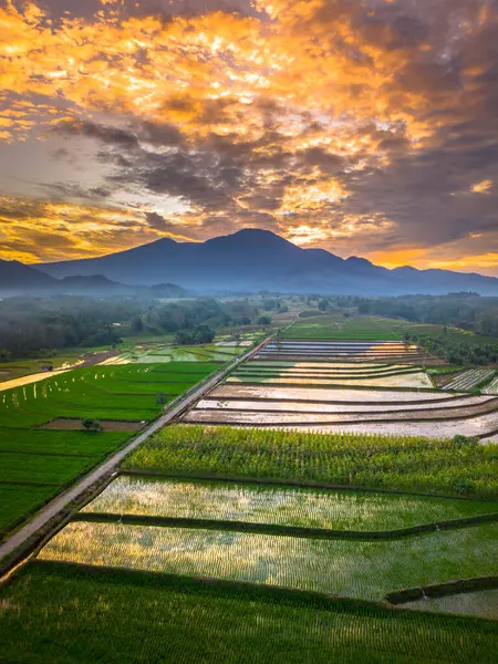 Beautiful morning view indonesia panorama landscape paddy fields with beauty color and sky natural light