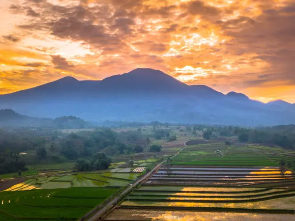 Beautiful morning view indonesia panorama landscape paddy fields with beauty color and sky natural light