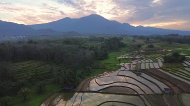Beautiful morning view indonesia panorama landscape paddy fields with beauty color and sky natural light