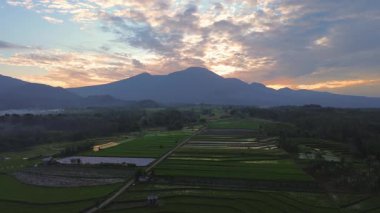 Beautiful morning view indonesia panorama landscape paddy fields with beauty color and sky natural light
