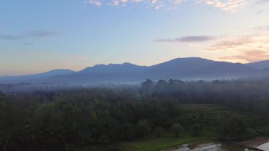 Beautiful morning view indonesia panorama landscape paddy fields with beauty color and sky natural light