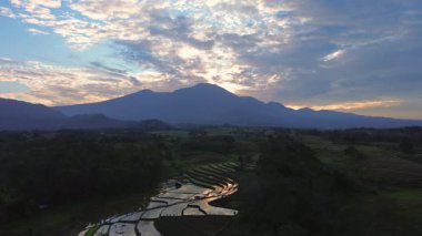 Beautiful morning view indonesia panorama landscape paddy fields with beauty color and sky natural light