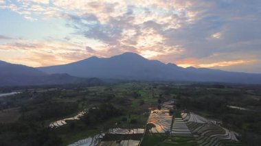 Beautiful morning view indonesia panorama landscape paddy fields with beauty color and sky natural light