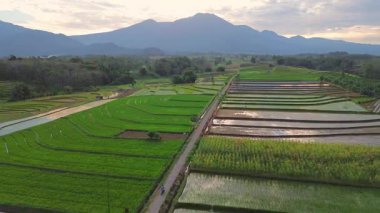 Beautiful morning view indonesia panorama landscape paddy fields with beauty color and sky natural light