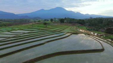Beautiful morning view indonesia panorama landscape paddy fields with beauty color and sky natural light