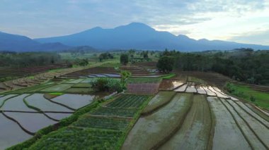 Beautiful morning view indonesia panorama landscape paddy fields with beauty color and sky natural light
