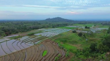Beautiful morning view indonesia panorama landscape paddy fields with beauty color and sky natural light
