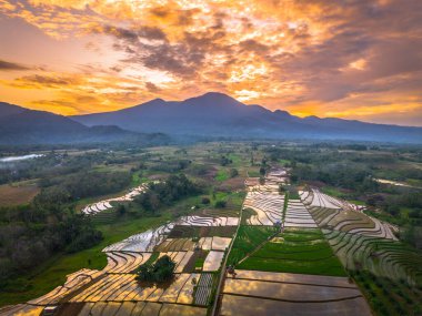 Beautiful morning view indonesia panorama landscape paddy fields with beauty color and sky natural light