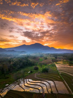 Beautiful morning view indonesia panorama landscape paddy fields with beauty color and sky natural light