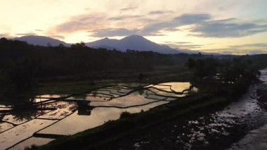 Beautiful morning view indonesia panorama landscape paddy fields with beauty color and sky natural light