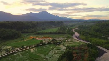 Beautiful morning view indonesia panorama landscape paddy fields with beauty color and sky natural light