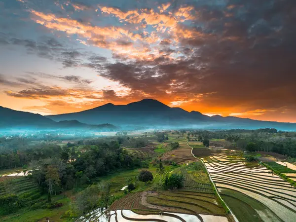 Beautiful morning view indonesia panorama landscape paddy fields with beauty color and sky natural light