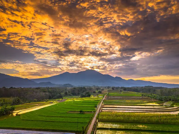 Beautiful morning view indonesia panorama landscape paddy fields with beauty color and sky natural light