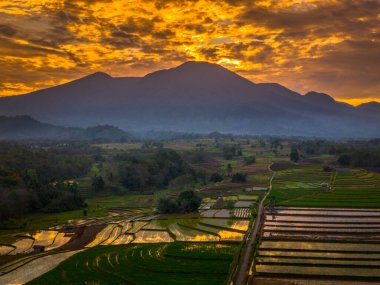 Beautiful morning view indonesia panorama landscape paddy fields with beauty color and sky natural light