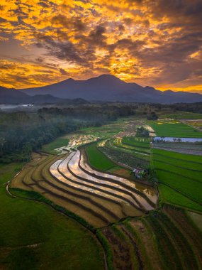 Beautiful morning view indonesia panorama landscape paddy fields with beauty color and sky natural light