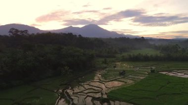 Beautiful morning view indonesia panorama landscape paddy fields with beauty color and sky natural light