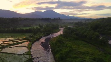 Beautiful morning view indonesia panorama landscape paddy fields with beauty color and sky natural light