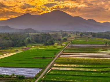 Beautiful morning view indonesia panorama landscape paddy fields with beauty color and sky natural light