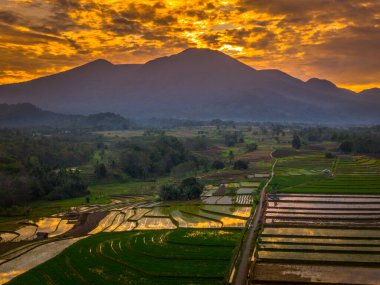 Beautiful morning view indonesia panorama landscape paddy fields with beauty color and sky natural light