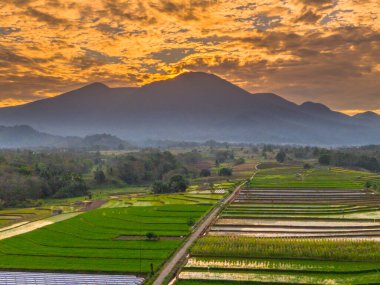 Beautiful morning view indonesia panorama landscape paddy fields with beauty color and sky natural light