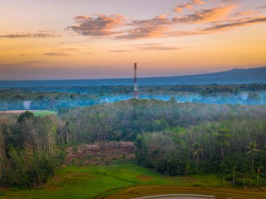 Beautiful morning view indonesia panorama landscape paddy fields with beauty color and sky natural light