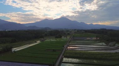 Beautiful morning view indonesia panorama landscape paddy fields with beauty color and sky natural light