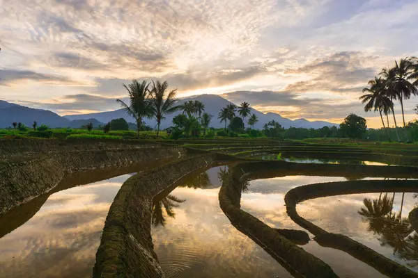 Beautiful morning view indonesia panorama landscape paddy fields with beauty color and sky natural light