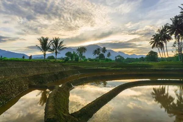 Beautiful morning view indonesia panorama landscape paddy fields with beauty color and sky natural light