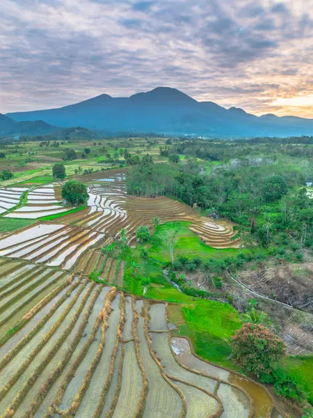 Beautiful morning view indonesia panorama landscape paddy fields with beauty color and sky natural light